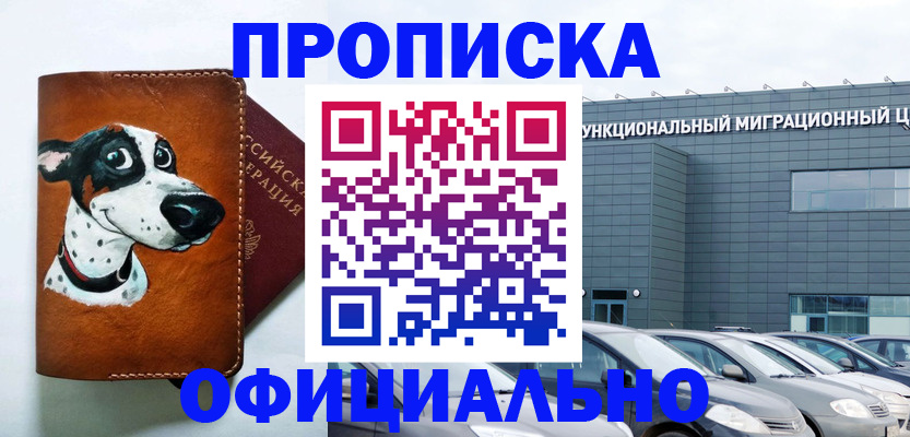 временная прописка в Бавлах